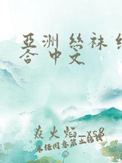 亚洲 丝袜 综合 中文