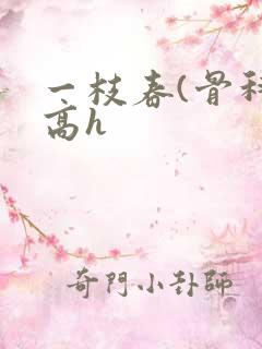 一枝春(骨科 高h