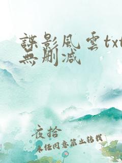 谍影风云txt无删减