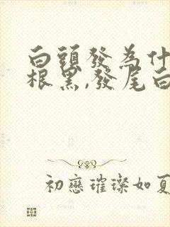 白头发为什么发根黑,发尾白