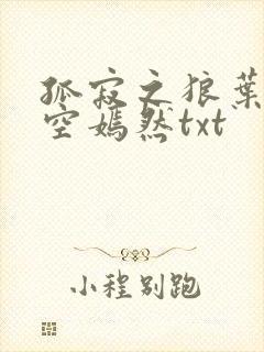 孤寂之狼叶凡司空嫣然txt