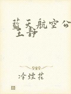 蓝天航空公司的 王静