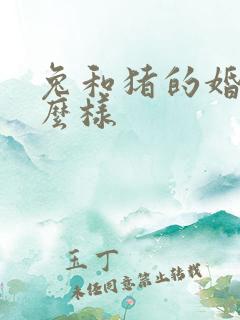兔和猪的婚姻怎么样