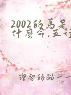 2002的马是什么命,五行属性