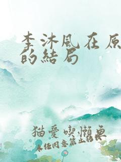 李沐风在原著中的结局