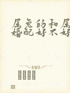 属兔的和属兔的婚配好不好