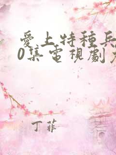 爱上特种兵第40集电视剧免费观看