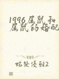 1996属鼠和属鼠的婚配好吗