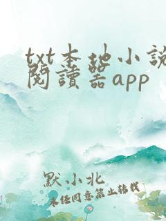 txt本地小说阅读器app