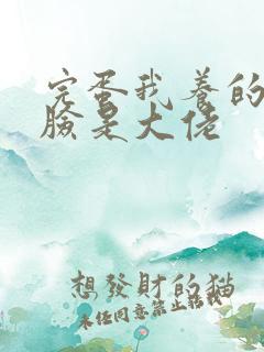 完蛋我养的小白脸是大佬