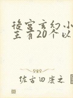 后宫玄幻小说女主有20个以上
