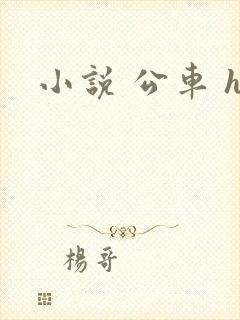 小说 公车 h