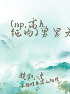 (np,高h,纯肉)男男文