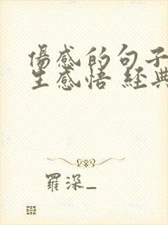 伤感的句子带人生感悟 经典语录