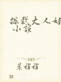 总裁大人好体力 小说