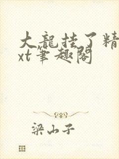 大龙挂了精校txt笔趣阁