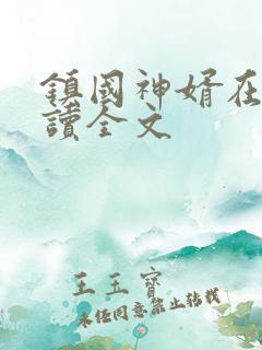 镇国神婿在线阅读全文
