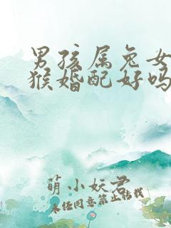 男孩属兔女孩属猴婚配好吗