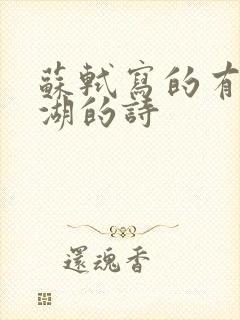 苏轼写的有关西湖的诗