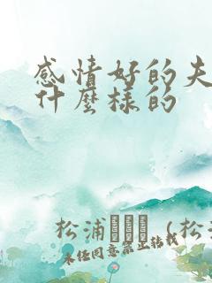 感情好的夫妻是什么样的
