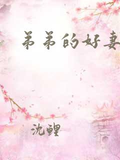 弟弟的好妻子