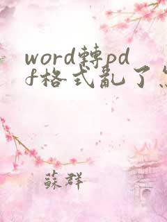 word转pdf格式乱了怎么调整