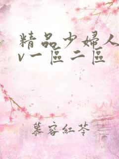 精品少妇人妻av一区二区