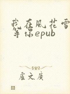 我在风花雪月里等你epub