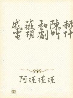 戚薇和陈赫演的电视剧叫什么名字