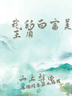 我的白富美老婆主角