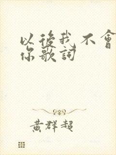 以后我不会再爱你歌词