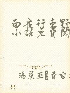 白夜行东野圭吾小说免费阅读全文