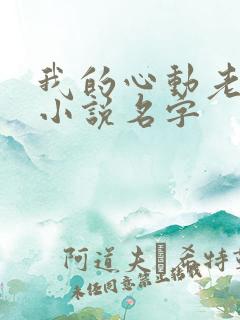 我的心动老板娘小说名字
