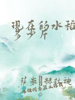 现在的水稻亩产多少斤