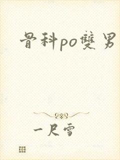 骨科po双男主