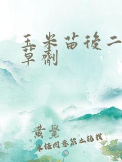 玉米苗后二次除草剂