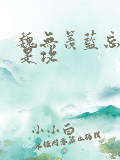 魏无羡蓝忘机谁是攻