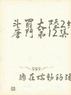 斗罗大陆2绝世唐门第12集