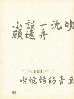 小说一沈明月,顾远舟