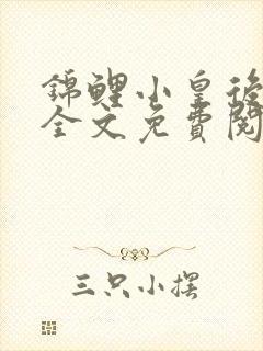 锦鲤小皇后小说全文免费阅读