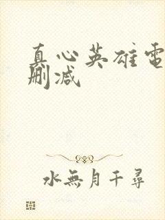 真心英雄电影无删减