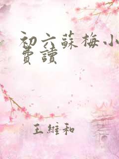 初六苏梅小说免费读