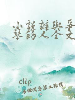 小说谁与争锋抚琴的人全文阅读免费