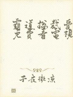 霸道总裁爱上我免费看电视剧