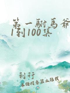 第一驸马爷短剧1到100集