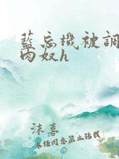 蓝忘机被调教成肉奴h
