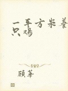 一平方米养多少只鸡