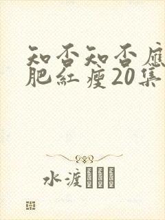 知否知否应是绿肥红瘦20集