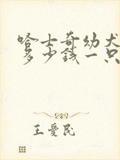 哈士奇幼犬纯种多少钱一只