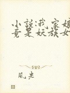 小说:我家娘子竟是妖族女帝